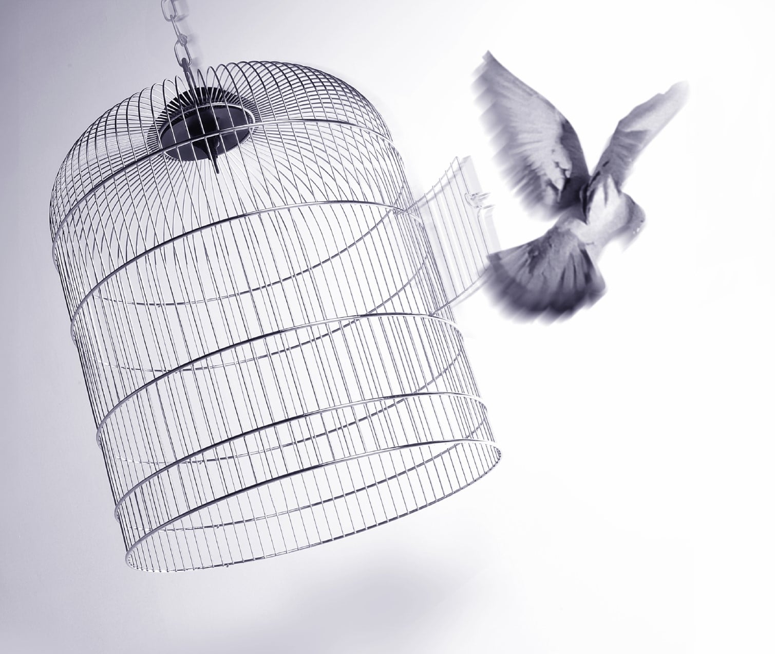 Bird out of Cage demonstrates the power of unleashing other leaders.