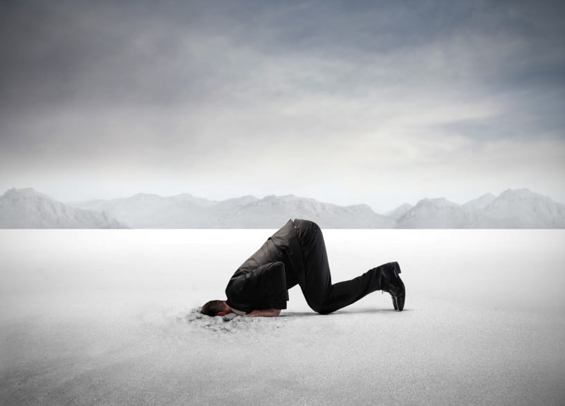 Leadership speakers, Bob Vanourek and Gregg Vanourek, use an image of a man with his head buried in a vast desert of sand to illustrate the "fixed mindset" that is so detrimental to leaders.