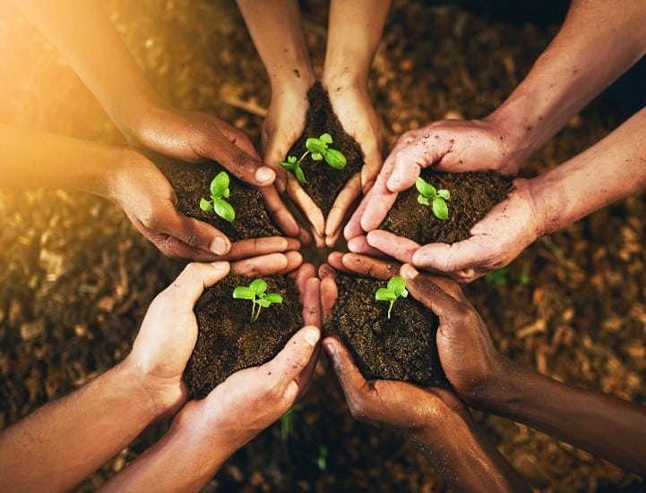 new growth with group hands